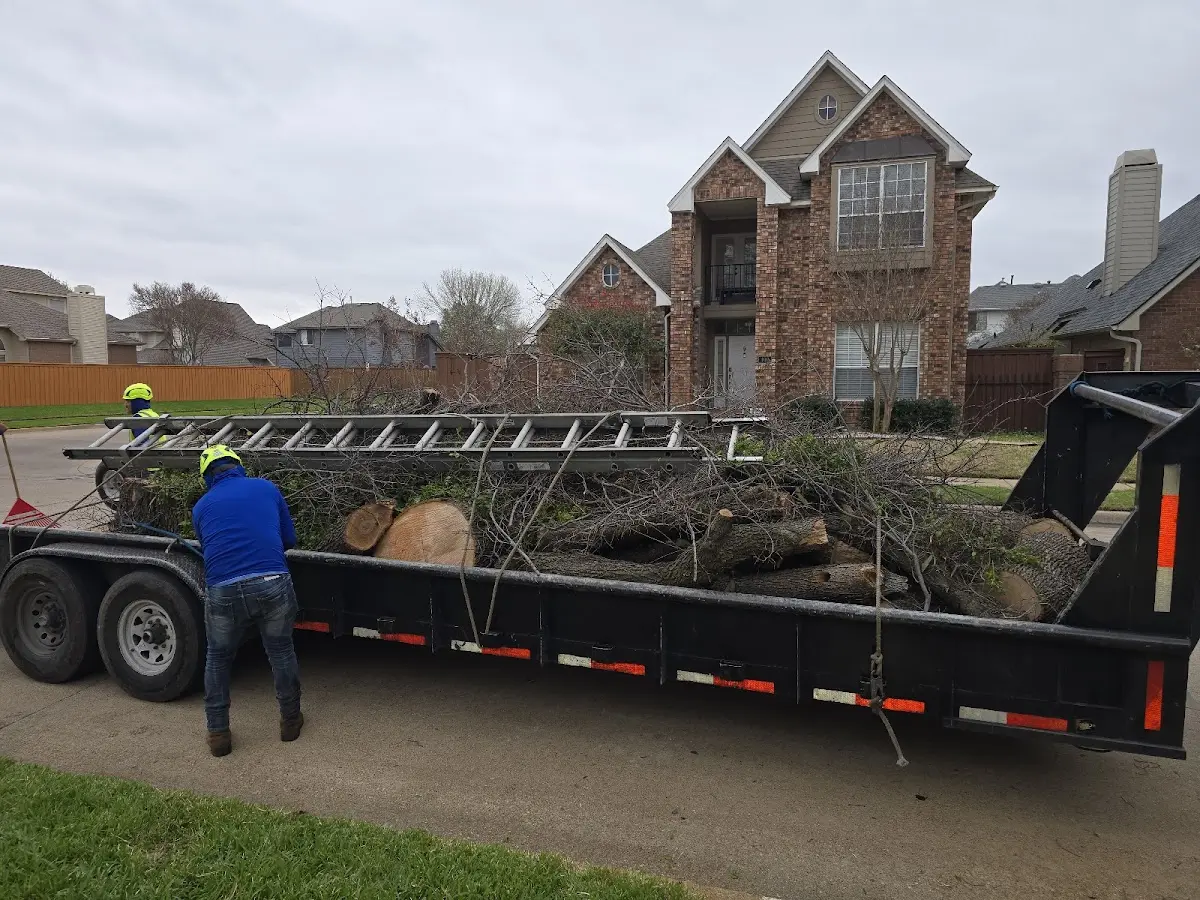 Expert Tree Removal with proper safety equipment in Pinson